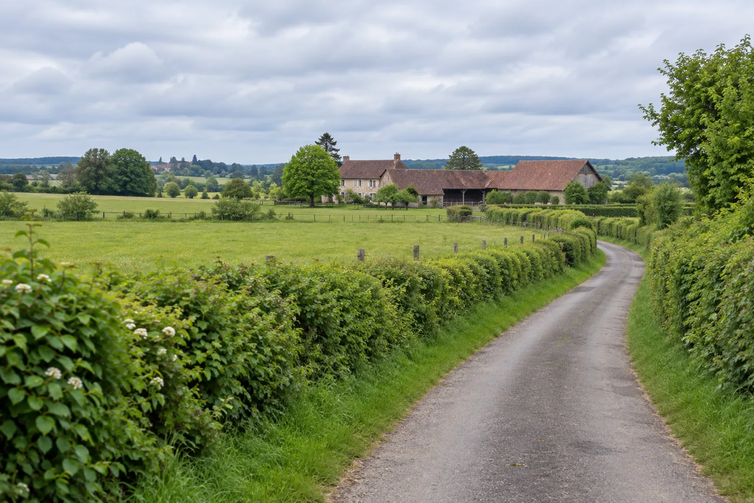 Une petite route bordée de haies traverse les prairies de la Bresse bourguignonne.