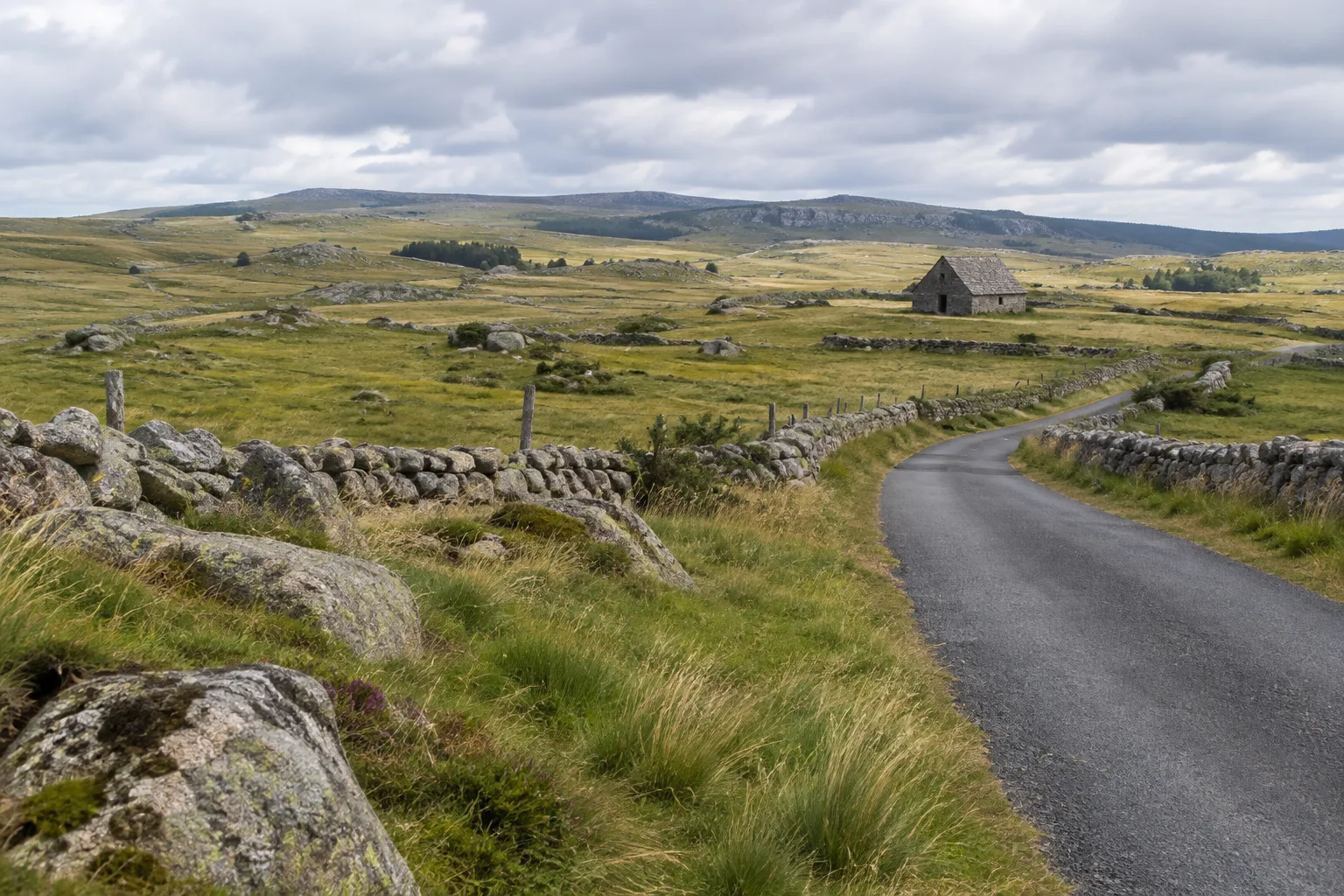 Une route traverse les pâturages ouverts de l’Aubrac, entre pierres et burons.