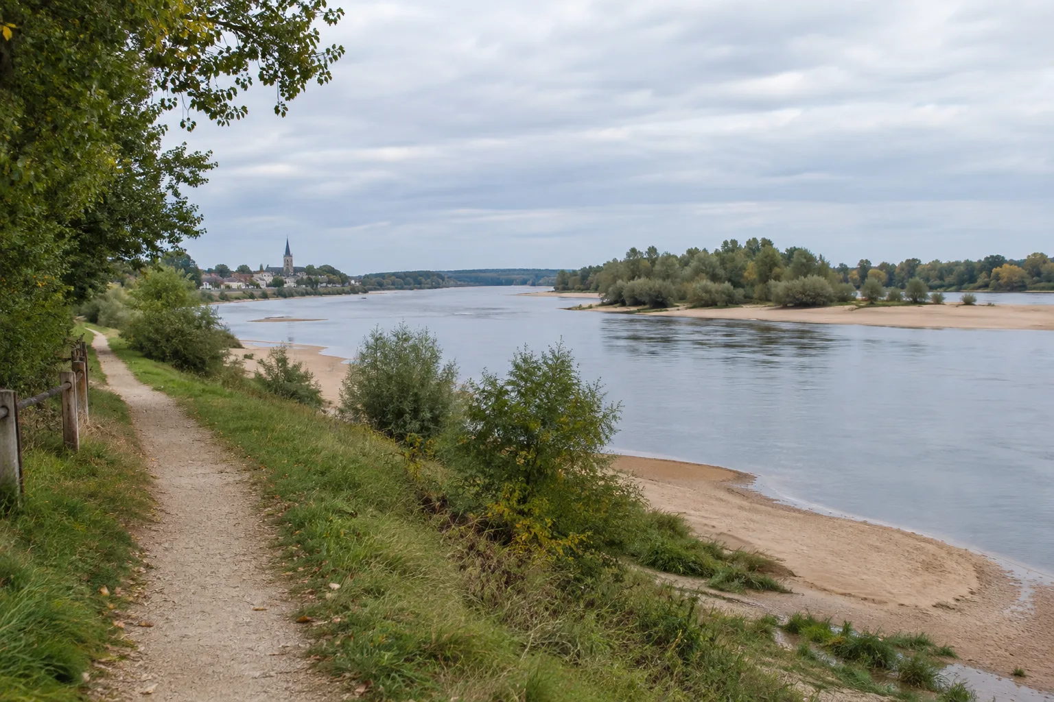 Un chemin longe la Loire près de La Charité-sur-Loire, entre arbres bas et bancs de sable.