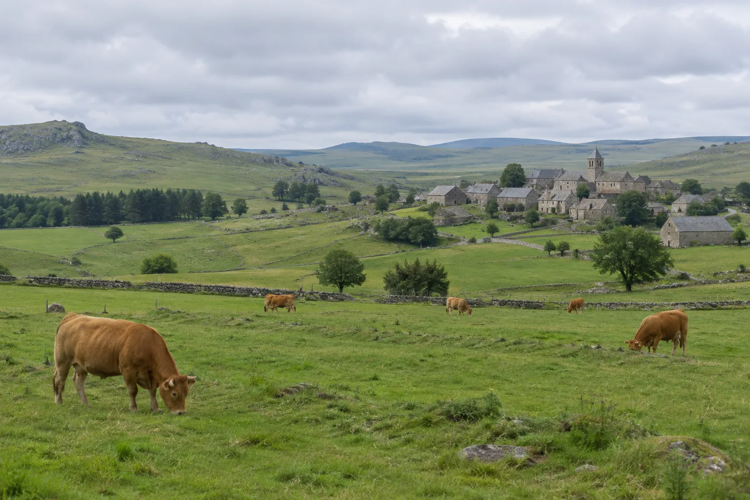 Des pâturages ouverts et des bâtiments de pierre dans le paysage de l’Aubrac.
