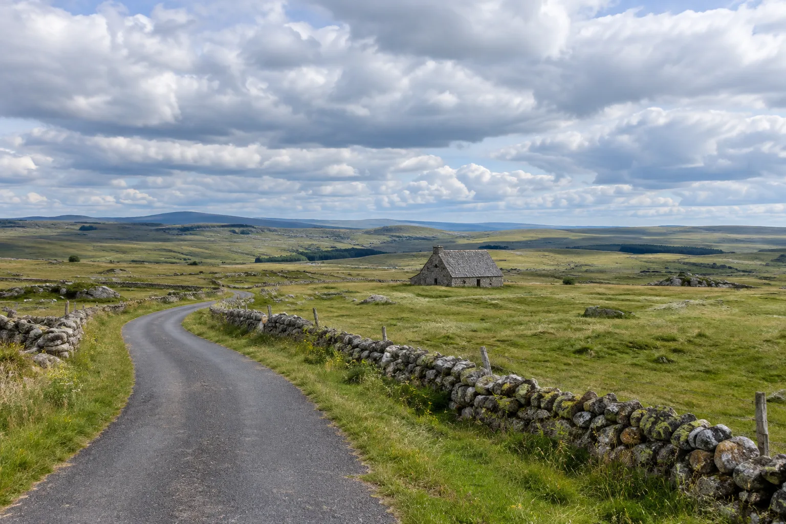 Une petite route traverse les pâturages de l’Aubrac, bordés de murets de pierre.